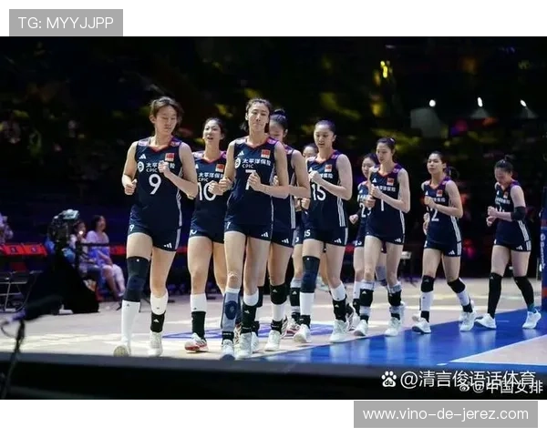 北京排球队个人能力分析与联赛表现评估